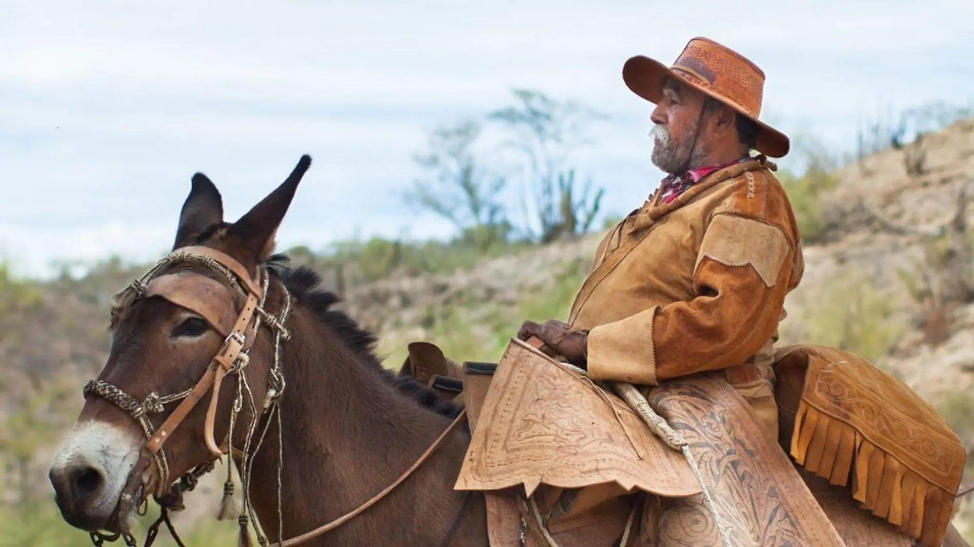 La Recua documental